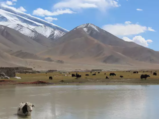 shangrila mountain