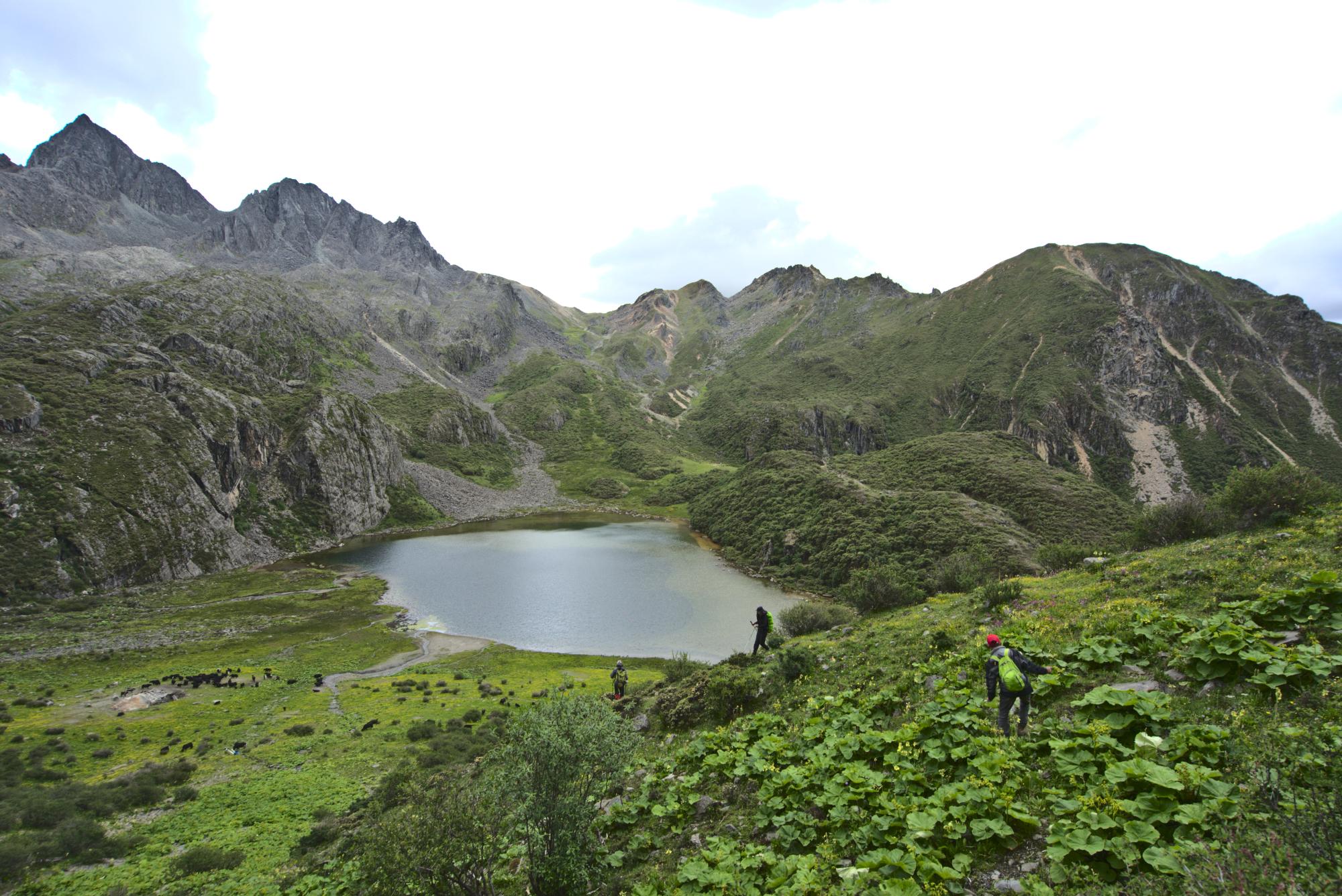 Niru Lake