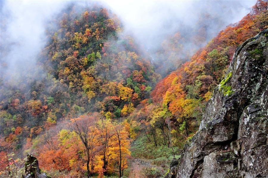 Shennongjia